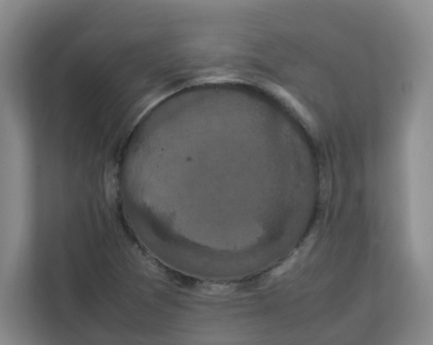 X0000111861361200908201249