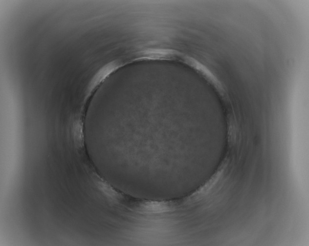 X0000111861362200908201249