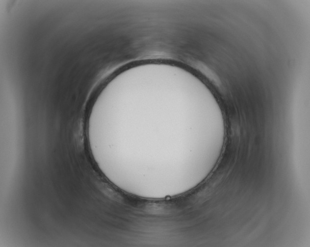 X0000111861364200908201249