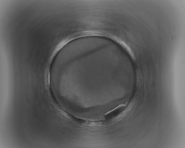 X0000111861365200908201249