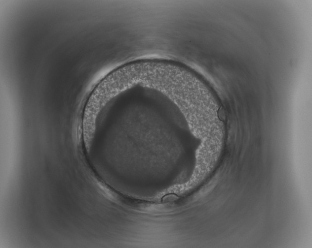 X0000111861367200908201249