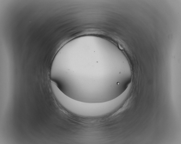 X0000111861369200908201249