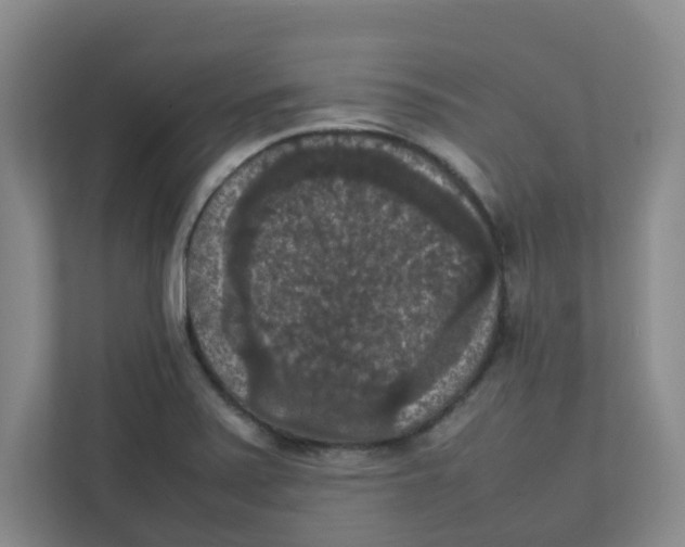 X0000111861371200908201249