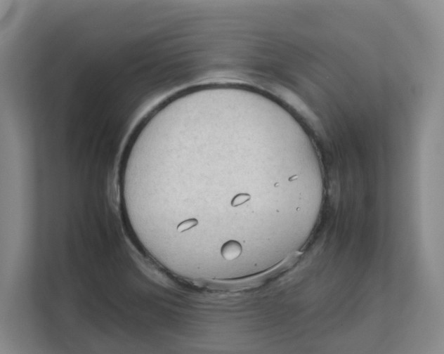 X0000111861372200908201249