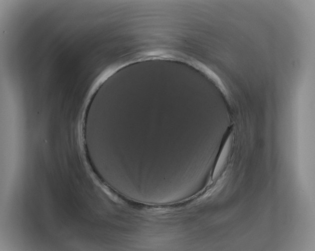 X0000111861373200908201249