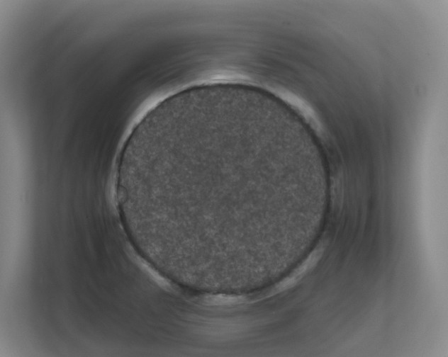 X0000111861374200908201249