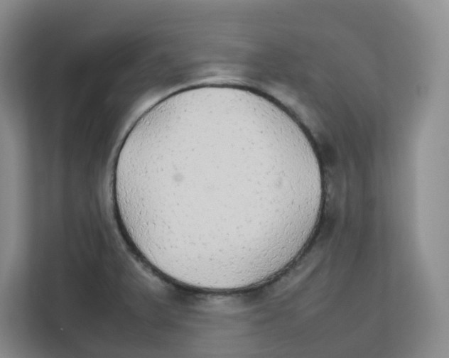 X0000111861375200908201249