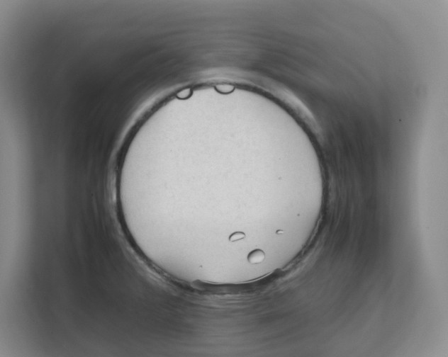 X0000111861376200908201249