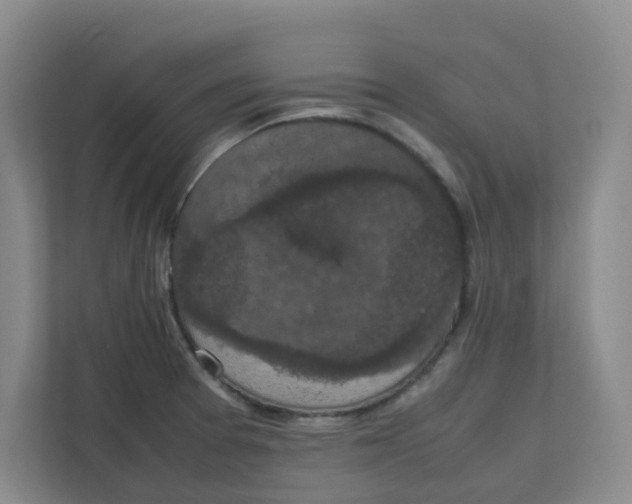 X0000111861377200908201249
