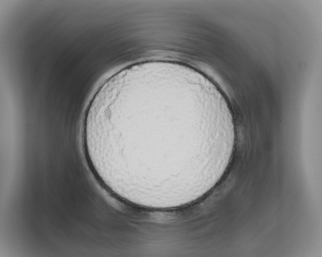X0000111861379200908201248