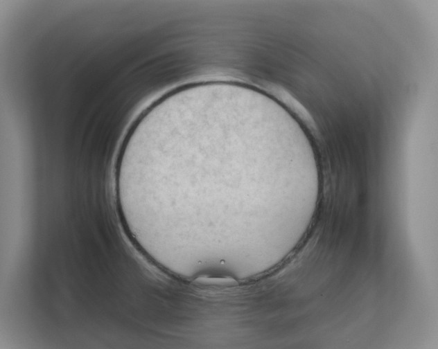 X0000111861380200908201248