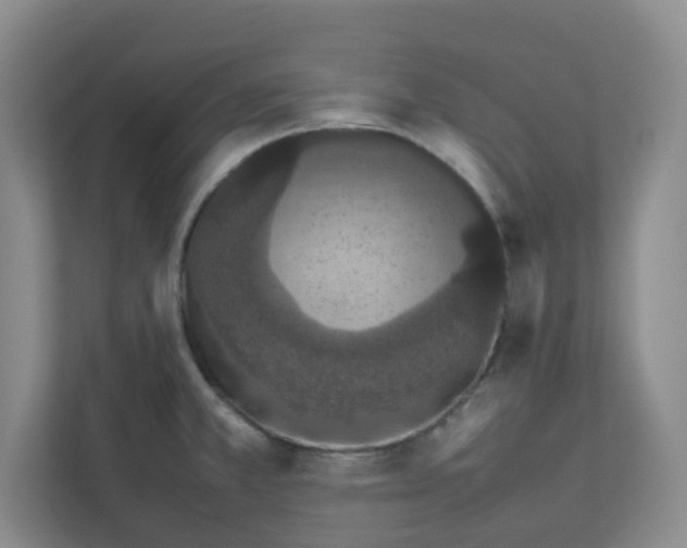 X0000111861381200908201248