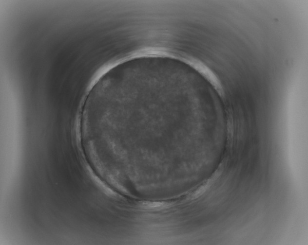 X0000111861382200908201248