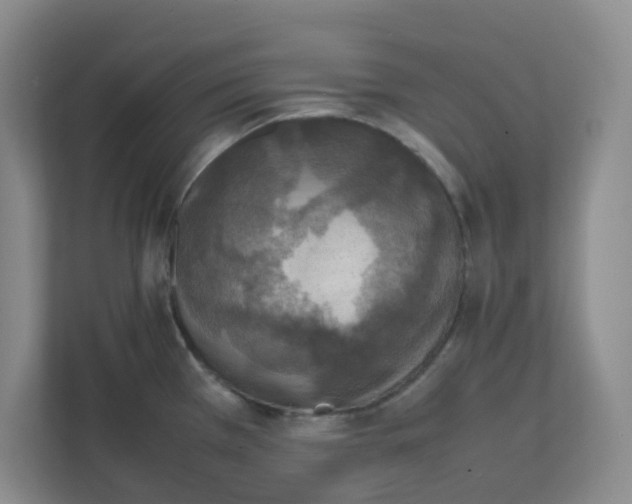 X0000111861385200908201248