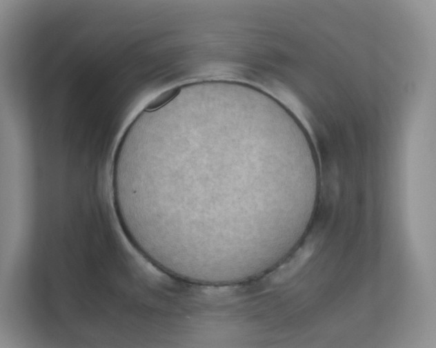 X0000111861389200908201248
