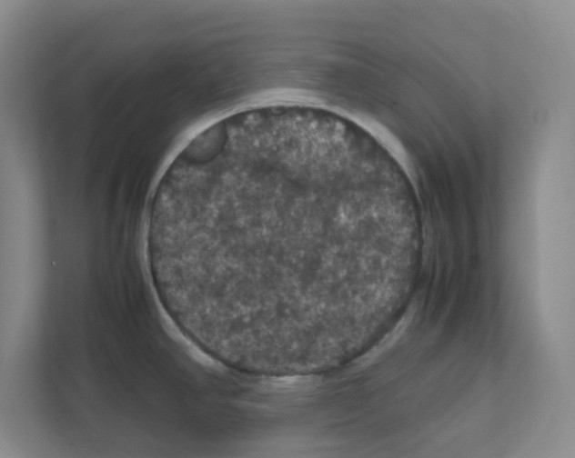 X0000111861390200908201248