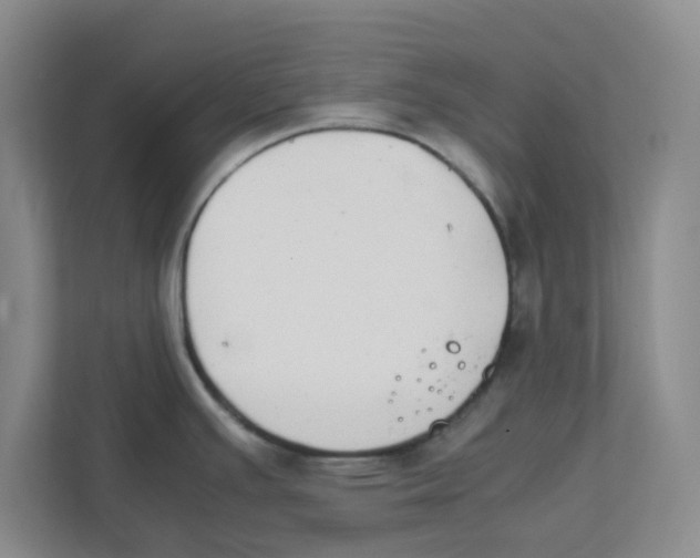 X0000111861391200908201248