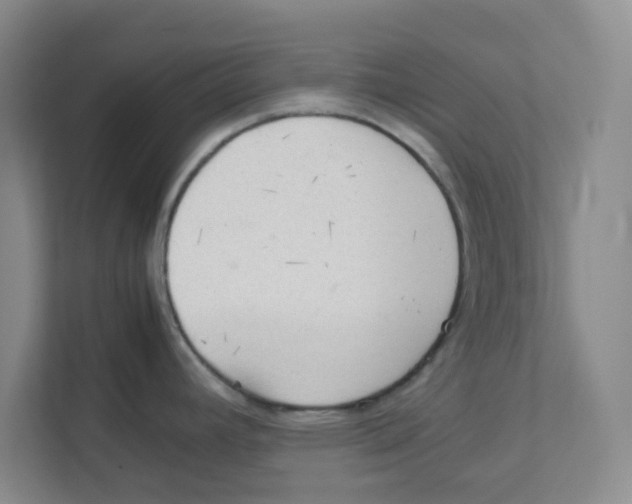 X0000111861392200908201248