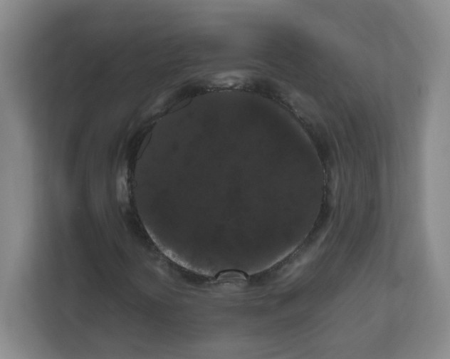 X0000111861394200908201248