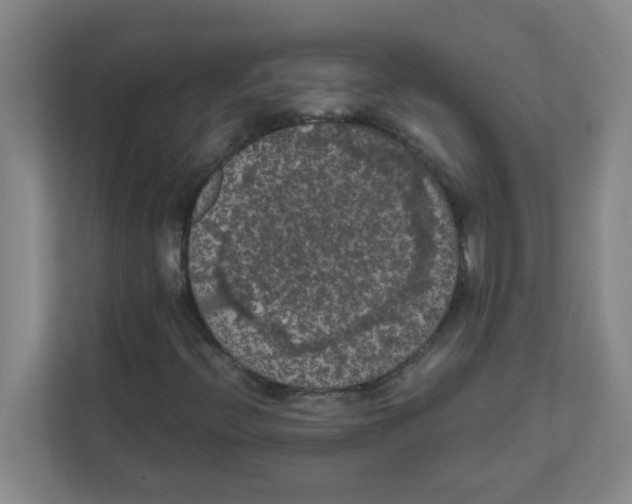 X0000111861396200908201248