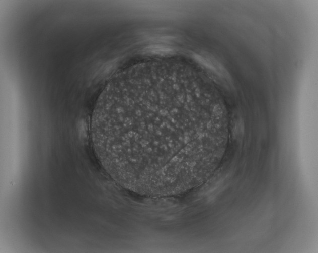 X0000111861397200908201248
