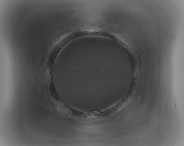 X0000111861398200908201248