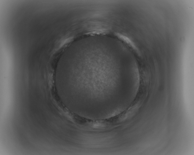 X0000111861399200908201248