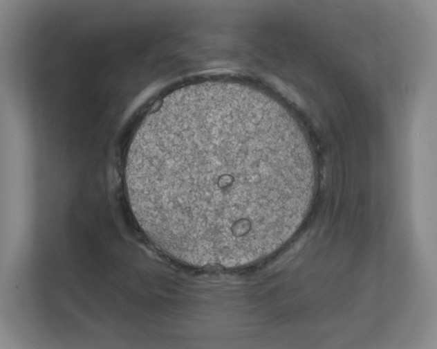 X0000111861400200908201248