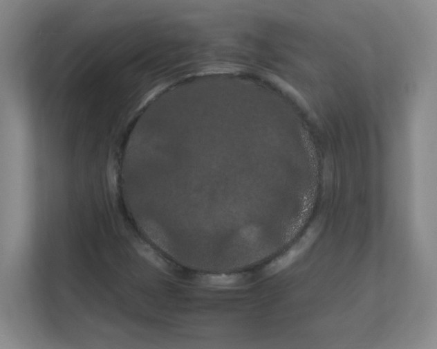 X0000111861401200908201248