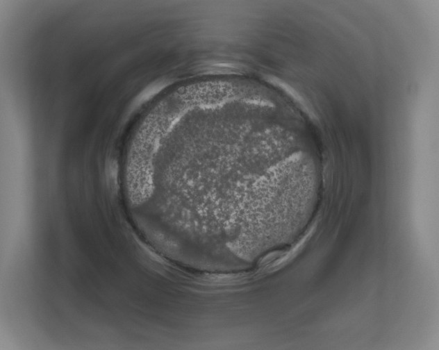 X0000111861402200908201248
