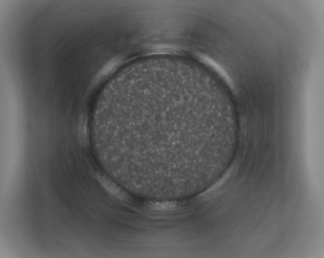 X0000111861403200908201248