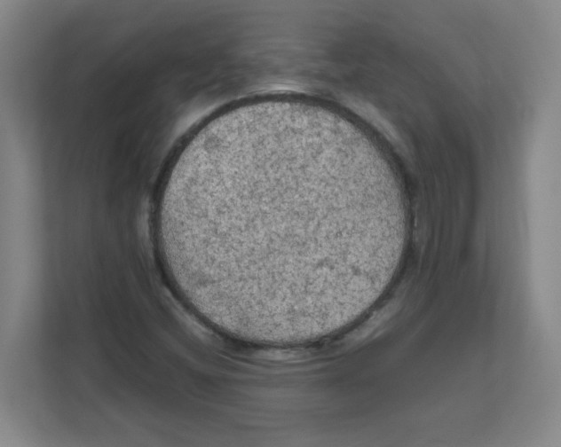 X0000111861404200908201248