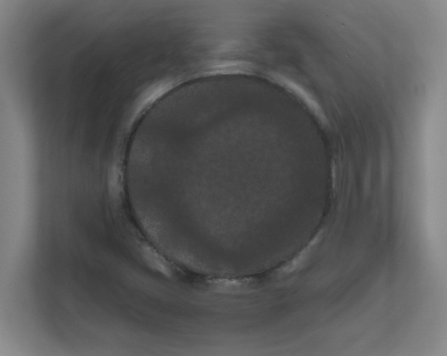 X0000111861405200908201248