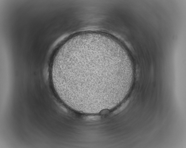 X0000111861406200908201248