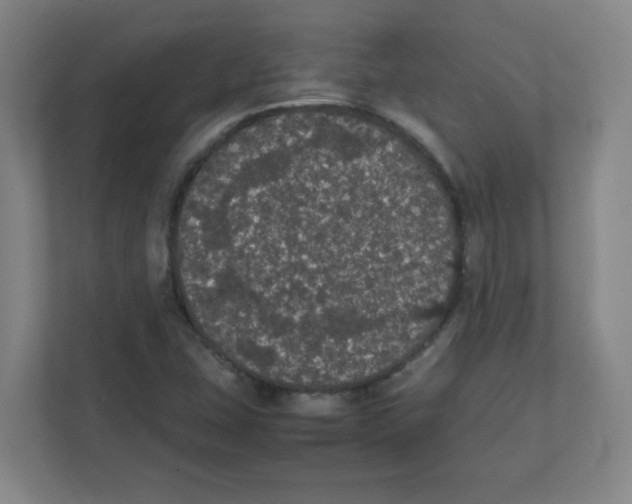 X0000111861407200908201248