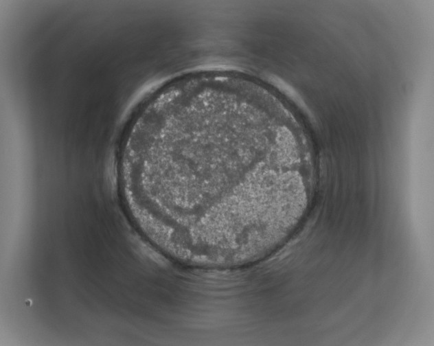 X0000111861408200908201248