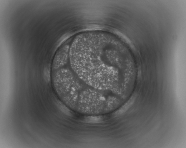 X0000111861409200908201248