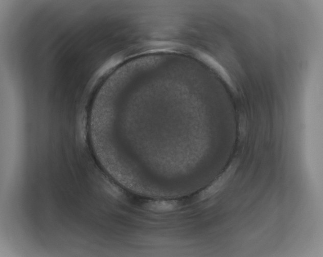 X0000111861411200908201248
