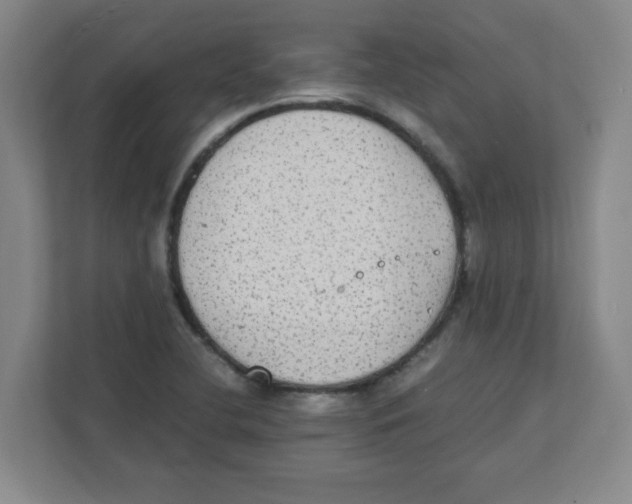 X0000111861412200908201248