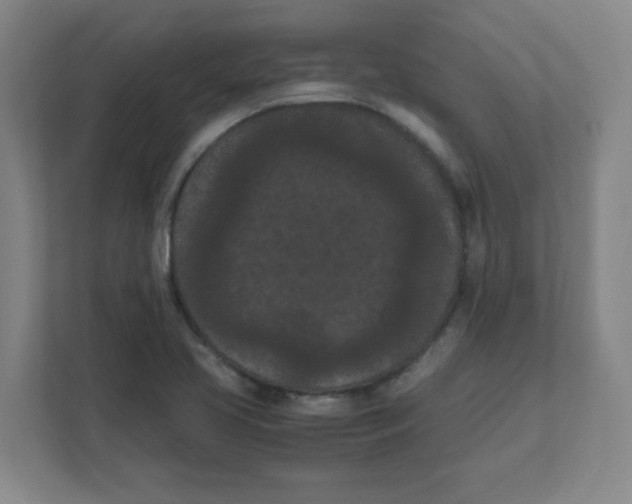X0000111861413200908201248