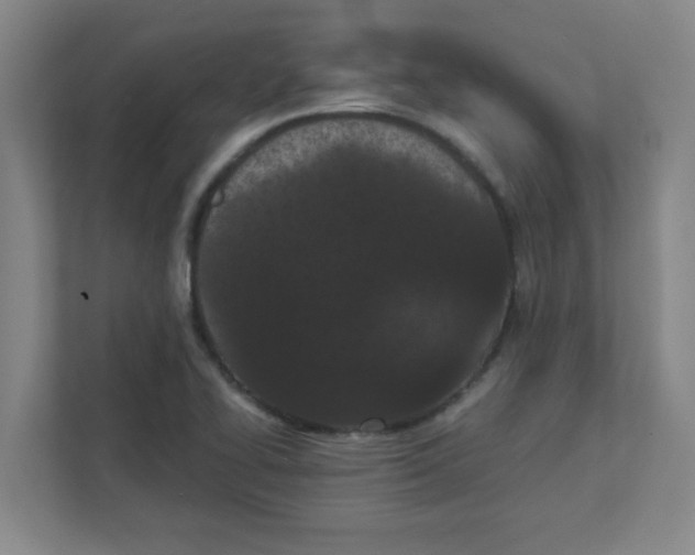 X0000111861414200908201248