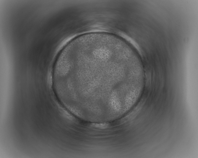 X0000111861415200908201248