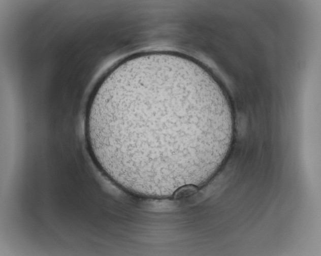 X0000111861416200908201248