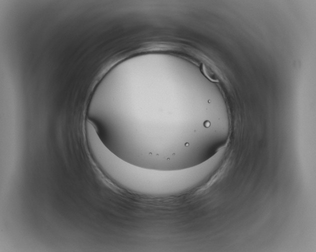 X0000111861417200908201248