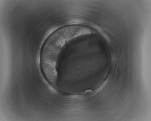 X0000111861418200908201248