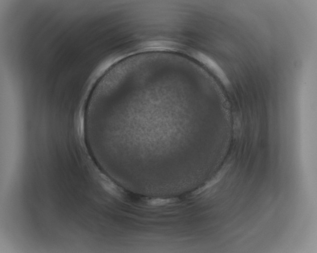X0000111861419200908201248