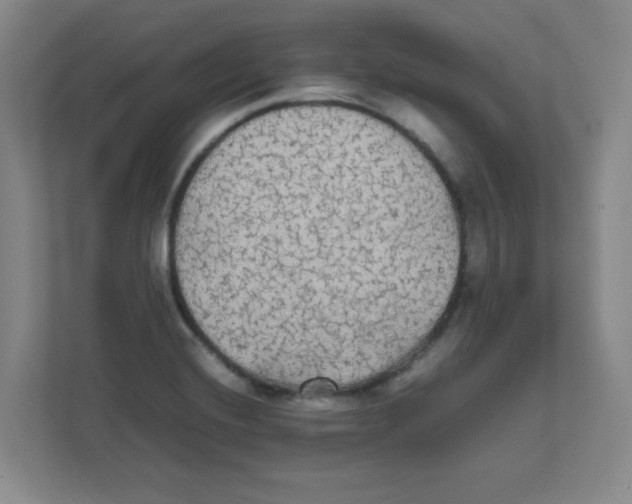 X0000111861420200908201248