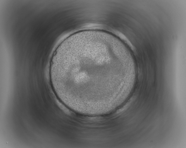 X0000111861421200908201248