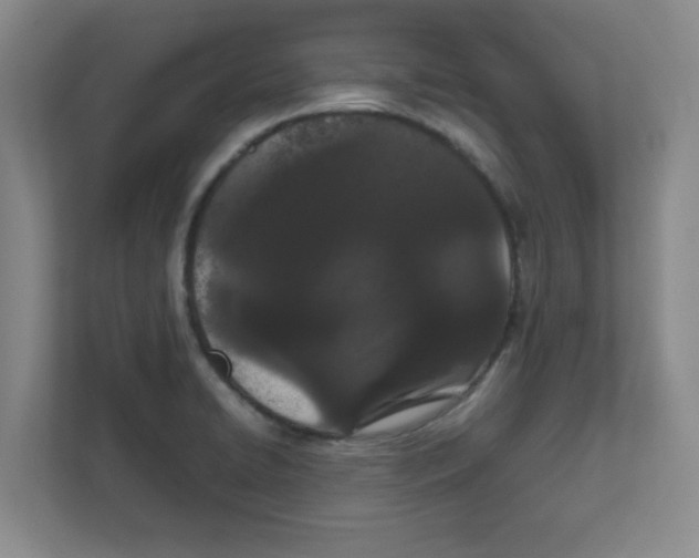 X0000111861422200908201248