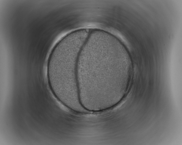 X0000111861424200908201248